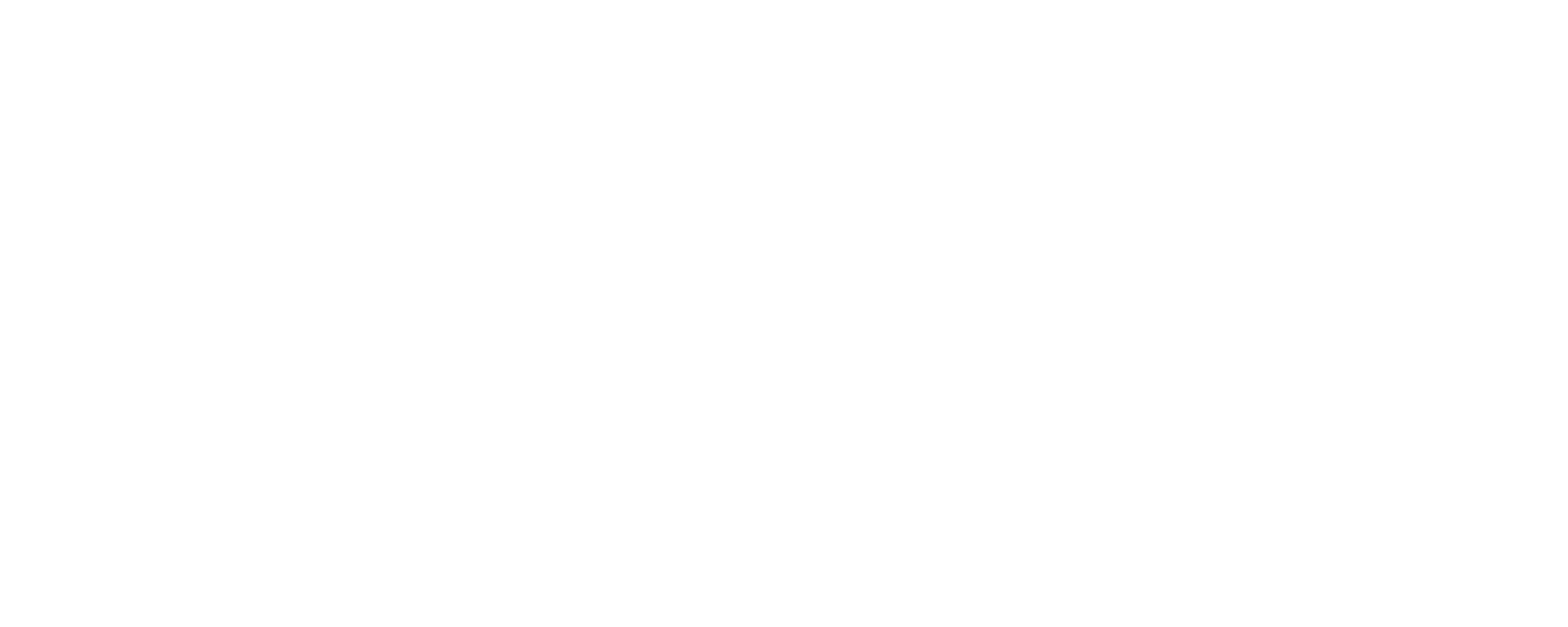Nomadic Living logo
